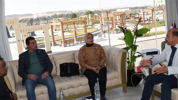 محافظ أسوان