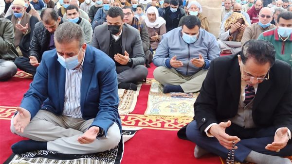 محافظ المنوفية