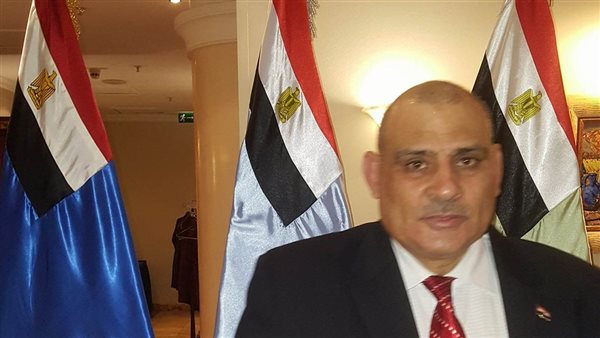 رئيس الجالية المصرية