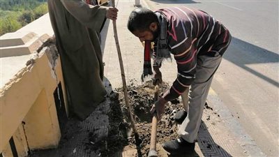 زراعة 2742 شجرة بحي شرق سوهاج ضمن فعاليات مبادرة أحلى وهي خضرة | صور