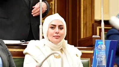 برلمانية: المشروع القومي لتنمية الأسرة المصرية إنجاز جديد للسيسي 