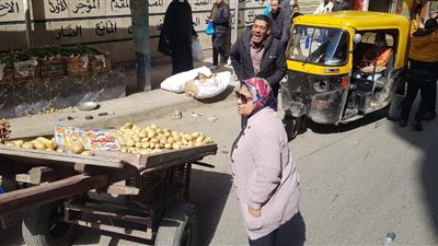 ضبط 290 إشغالًا متنوعًا خلال حملات رقابية في 8 أحياء بالإسكندرية 