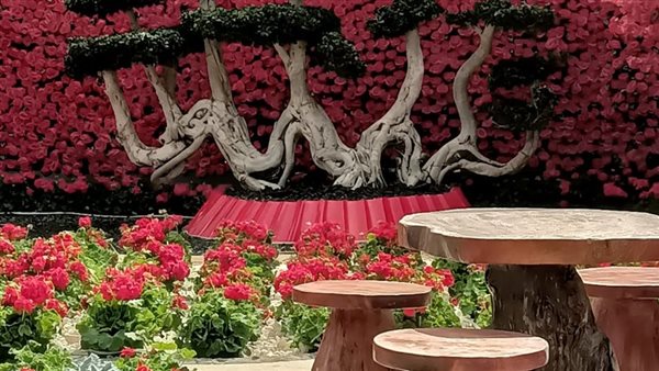 معرض الزهور