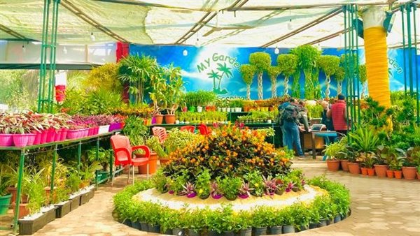 معرض الزهور - أرشيفية