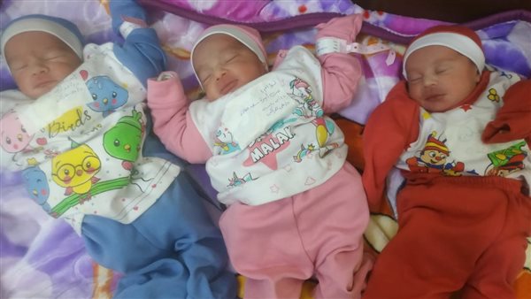 ولادة 3 توائم في