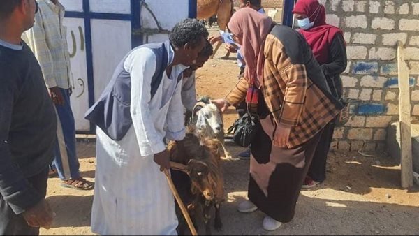 مشروع تربية الماعز