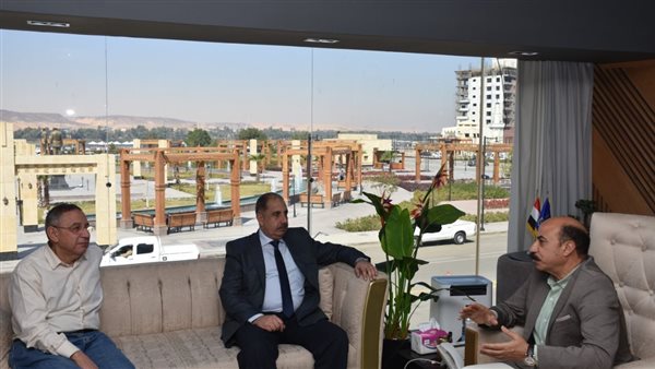 محافظ أسوان