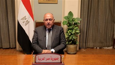 وزير الخارجية: مصر حققت تقدما ملحوظا لتعزيز حقوق الإنسان ولا بد من البعد عن التسييس والانتقائية
