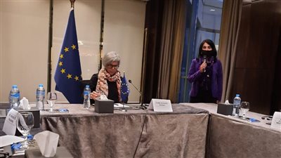 الممثلة الأوروبية للقرن الإفريقي: مفاوضات سد النهضة توصلت لوضع الأساسيات التقنية ويبقى التطبيق