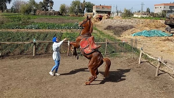 هنا أشرف أصغر مروضة