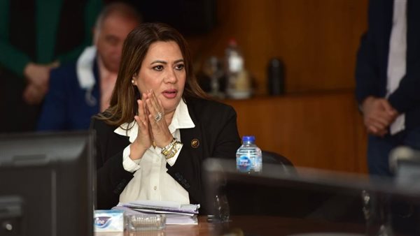 النائبة رانيا الجزاريلي