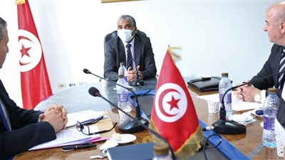 وزير الرياضة التونسي يستقبل وفد وزارة الشباب المصرية | صور