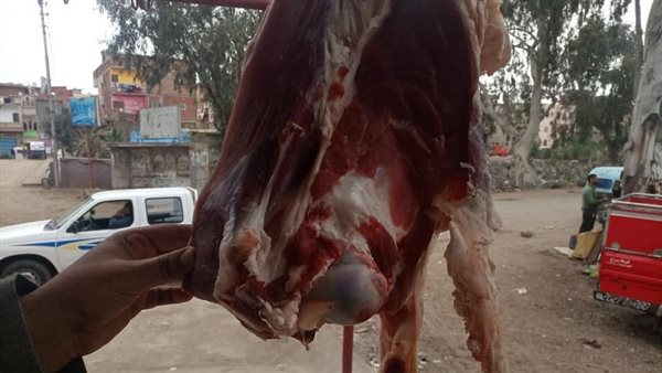 اللحوم المضبوطه 