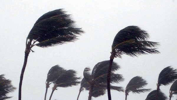 رياح شديدة - صورة