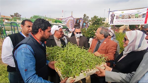 توزيع شجر الزيتون