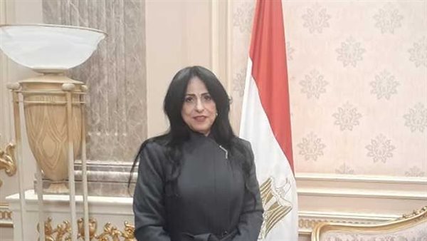 النائبة ميرال الهريدي