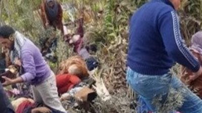 سقوط شجرة عملاقة على سيارة يتسبب في وفاة سيدتين وإصابة 20 آخرين بالمنصورة | بث مباشر