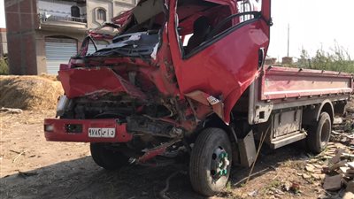 بعد مصرع وإصابة 22 شخصًا.. رفع آثار حادث سقوط شجرة على سيارة عمال بالدقهلية | صور وفيديو