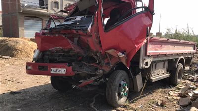 صرف 30 ألف جنيه لأسر ضحايا سقوط شجرة بالدقهلية و3 آلاف لكل مصاب