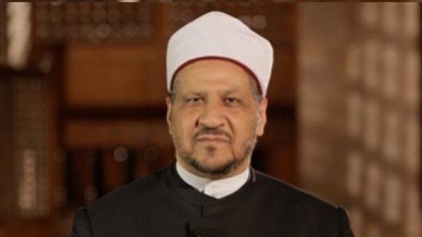 مجدي عاشور مستشار