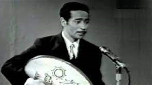 محمد الموجي 