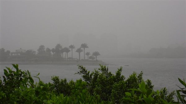 شبورة وغيوم - صورة