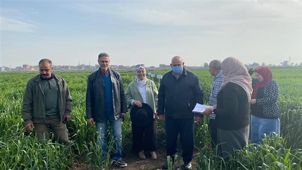 مدير معهد بحوث أمراض