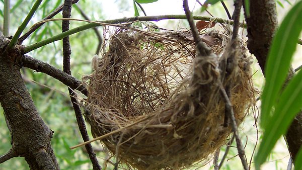 صورة تعبيرية 