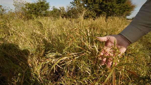 تأثير التغيرات المناخية