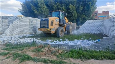 إزالة 17 حالة تعد ضمن المرحلة الثانية من الموجة الـ 19 بالبحيرة