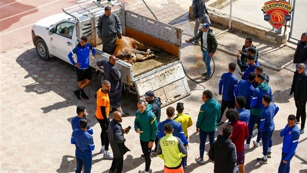 لاعبو سيراميكا يذبحون