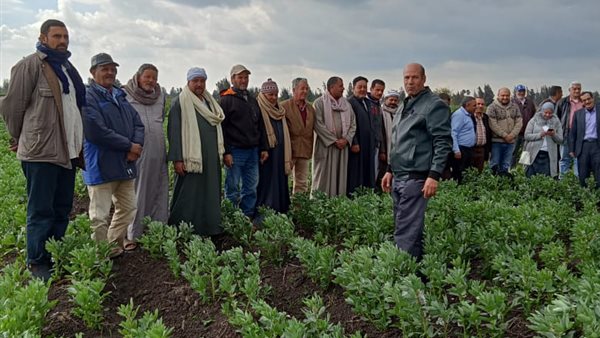 المدارس الحقلية 