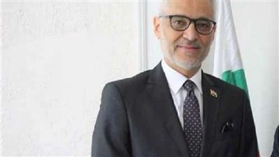 سفير مصر برومانيا: 800 طالب مصري غادروا أوكرانيا وقمنا بشمول رعايتهم