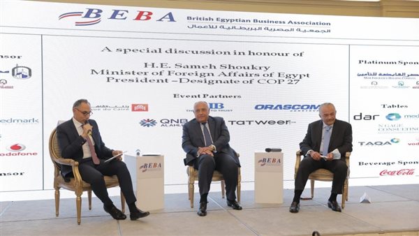 سامح شكري وزير الخارجية