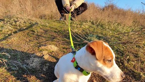 الفتاة المتطوعة