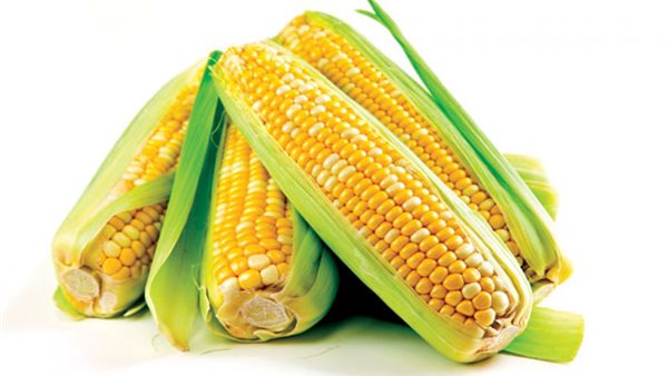 الذرة الصفراء