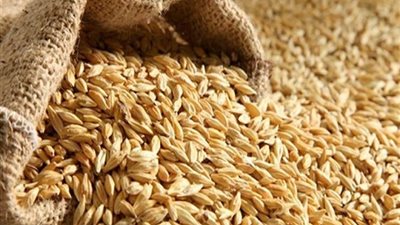 ارتفاع أسعار الأرز الشعير لأعلى سعر في التاريخ عند 7500 جنيه