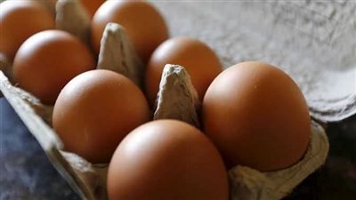 رئيس شعبة الدواجن: من غير المقبول أن يُباع طبق البيض بسعر 90 جنيهًا