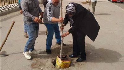 حي طرة يزرع 3000 شجرة لمكافحة الآثار السلبية لظاهرة التغيرات المناخية