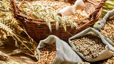 أبرزها اللحوم وحبوب الجاودار.. أوكرانيا توقف تصدير العديد من السلع الزراعية 