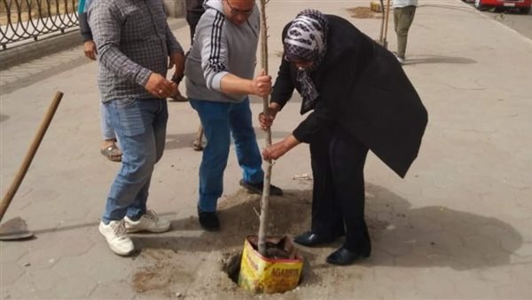 زراعة الأشجار 