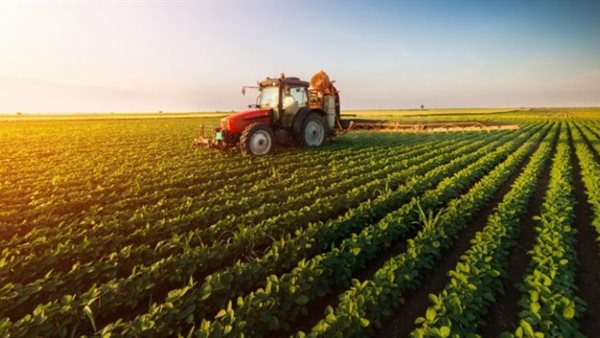 المشروعات الزراعية