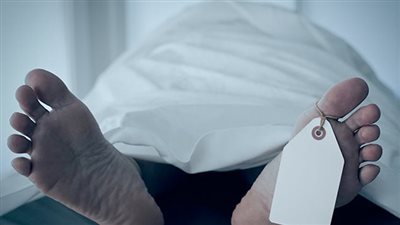 بسبب ركن سيارة.. مقتل طالب جامعي في 15 مايو