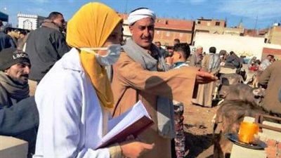 الطب البيطري بالشرقية: ترصد وتقصي وبائي لـ 395 قرية و43 سوق طيور ومواشي