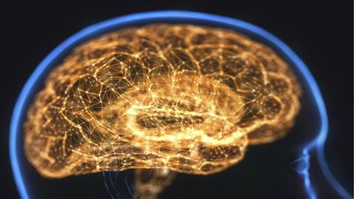 دراسة تثبت أن عدوى كورونا تسبب تقلص مناطق في الدماغ مع الوقت 