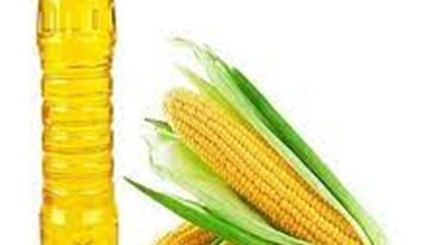 زيت الذرة يرتفع 1000 جنيه خلال 24 ساعة.. والطن يسجل 32 ألف 