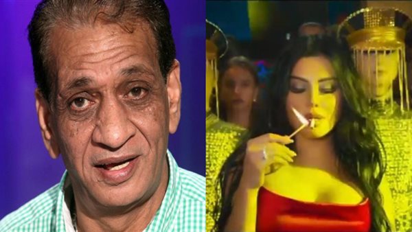 محمد السبكي وزارا