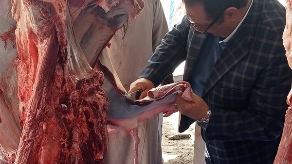 رئيس مدينة سفاجا