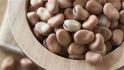 الفول يواصل الارتفاع ويسجل زيادة 500 جنيه في الطن | بث مباشر