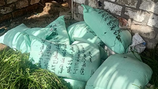 دقيق مدعم داخل حظيرة